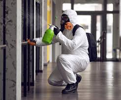 Mold Odor Removal Services in Coraopolis, PA